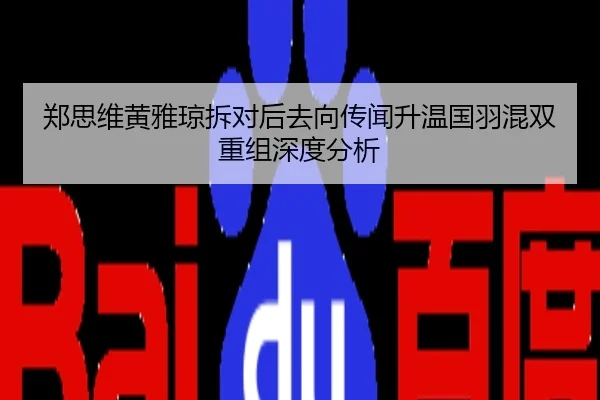郑思维黄雅琼拆对后去向传闻升温国羽混双重组深度分析